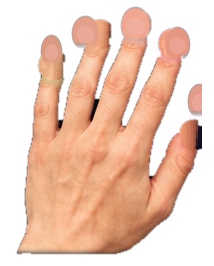 Hình bàn tay trái hướng dẫn